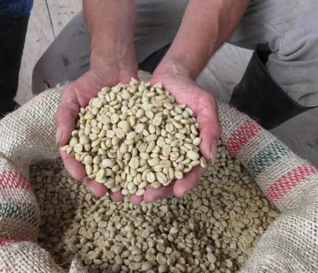 Colombia Sierra Nevada Organic / Fairtrade