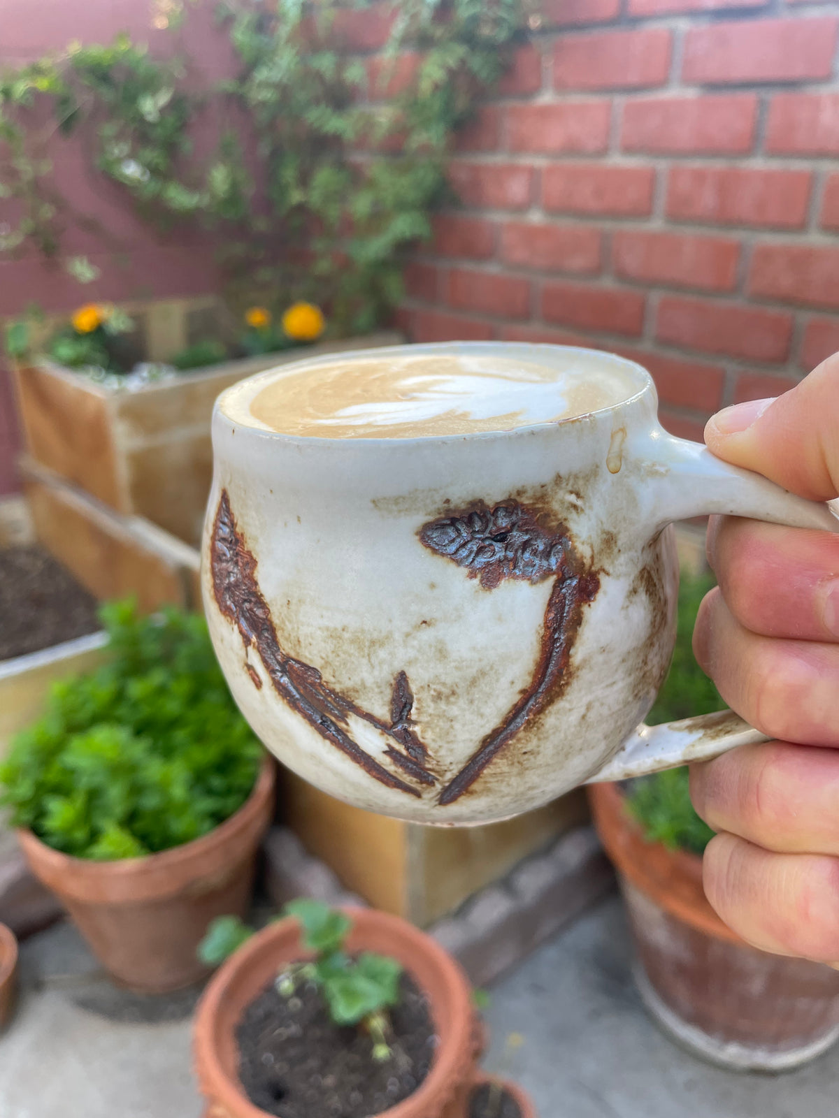 Botanic Mug 02 Edition